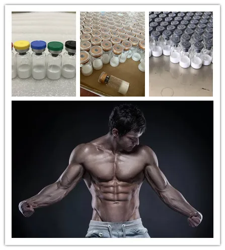 
High purity bodybuilding tb 500 peptides tb powder tb500 2mg 5mg 10mg/vial paypal tb500 thymosine bta 4 