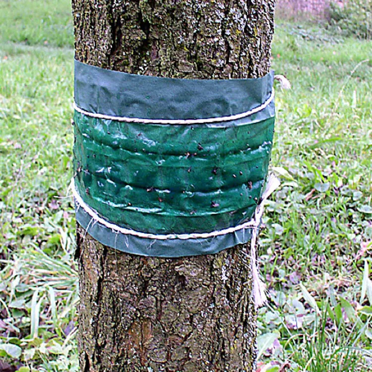 Outdoor insects glue band traps and the tree glue band for effective insect control Grease Band Traps