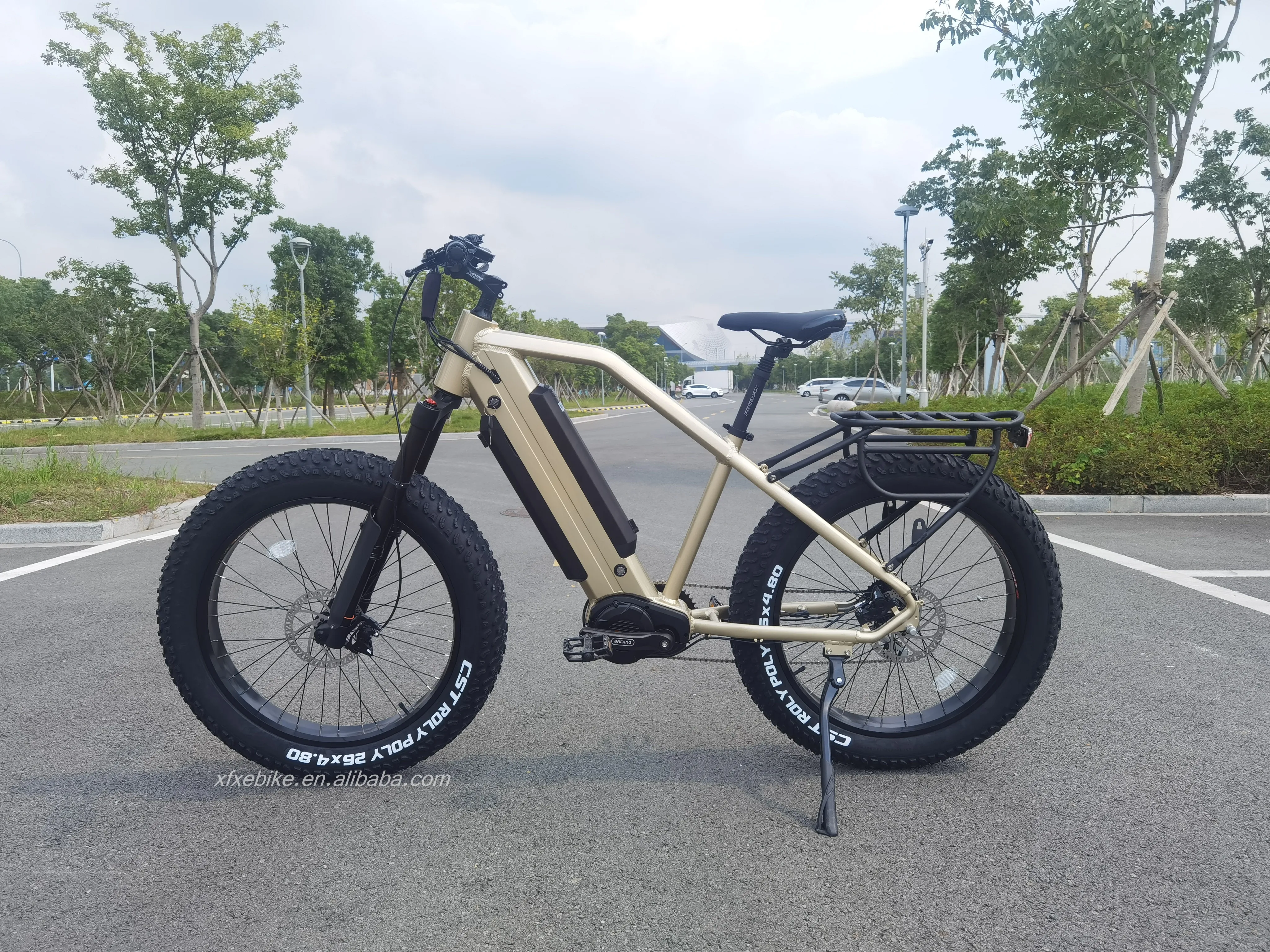 Mountain 26Inch'*4.8 CST Tires Dual 17.4Ah Hidden Battery 48V 1000W Bafang Mid Dive Motor Fat Tire Electric Bike