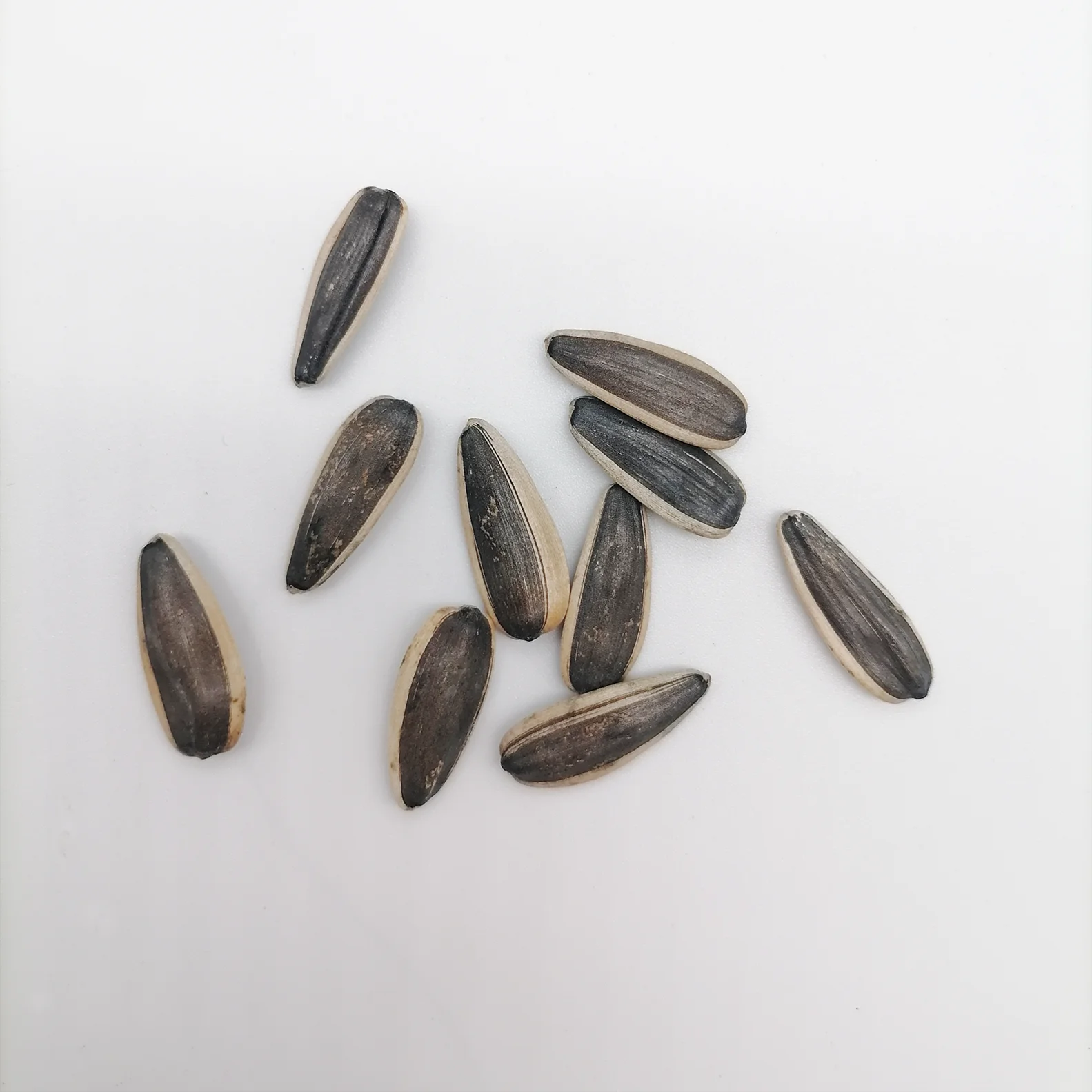  Chinese factory supply high quality 363 sunflower seeds 361 for