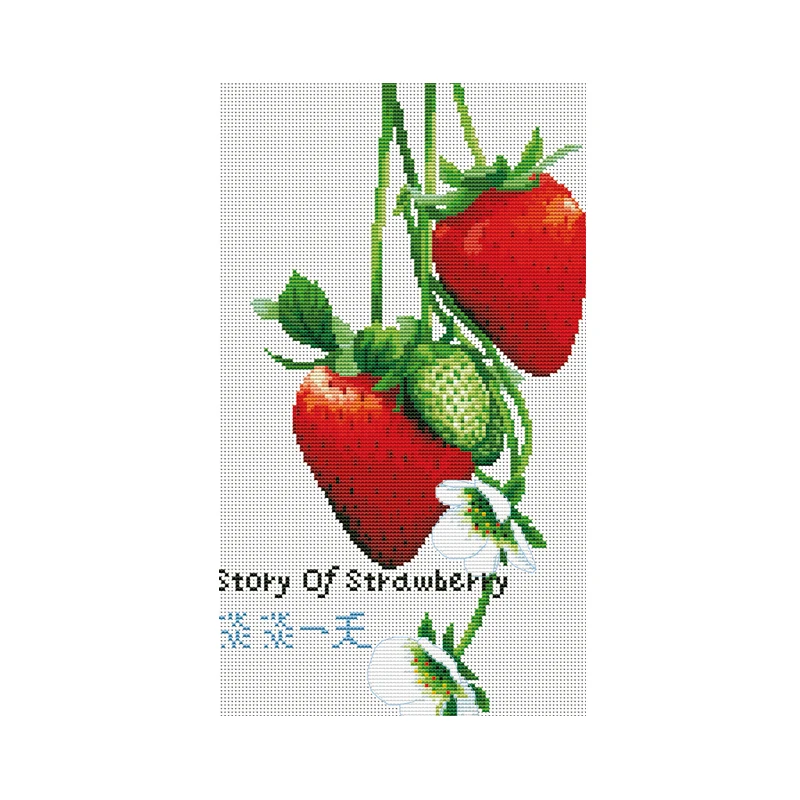 story of sweet strawberry adult art and craft needle embroidery cross stitch set