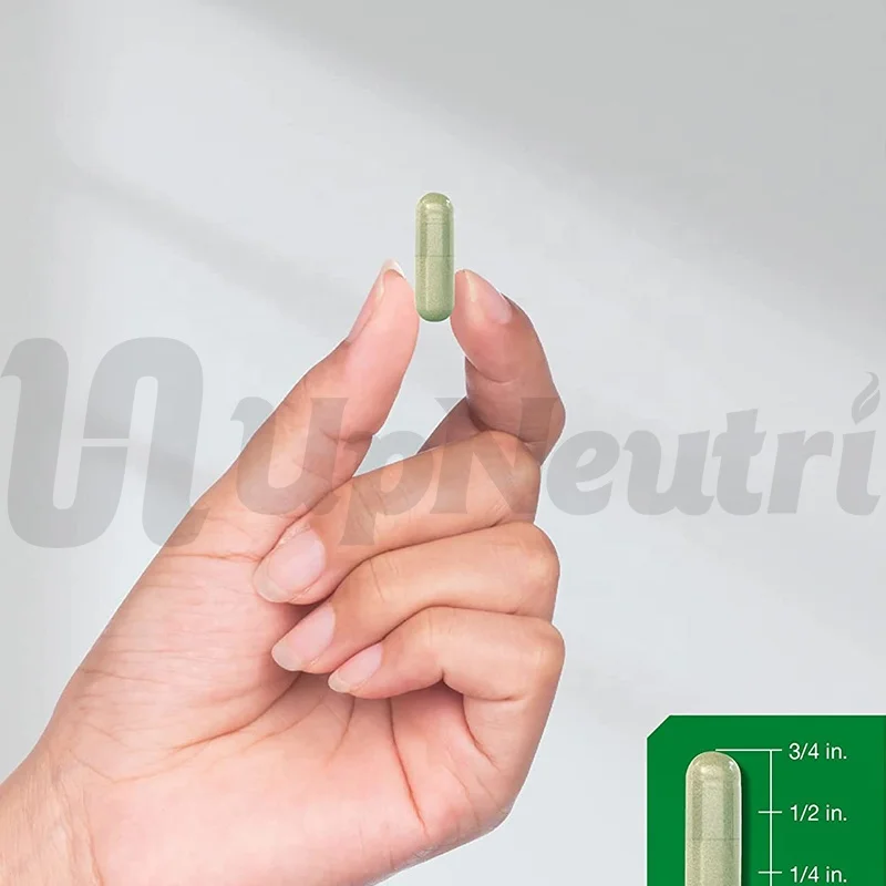 Private Label Best Quality Purity Echinacea with Zinc Purpurea Polyphenols Echinacea Extract capsule