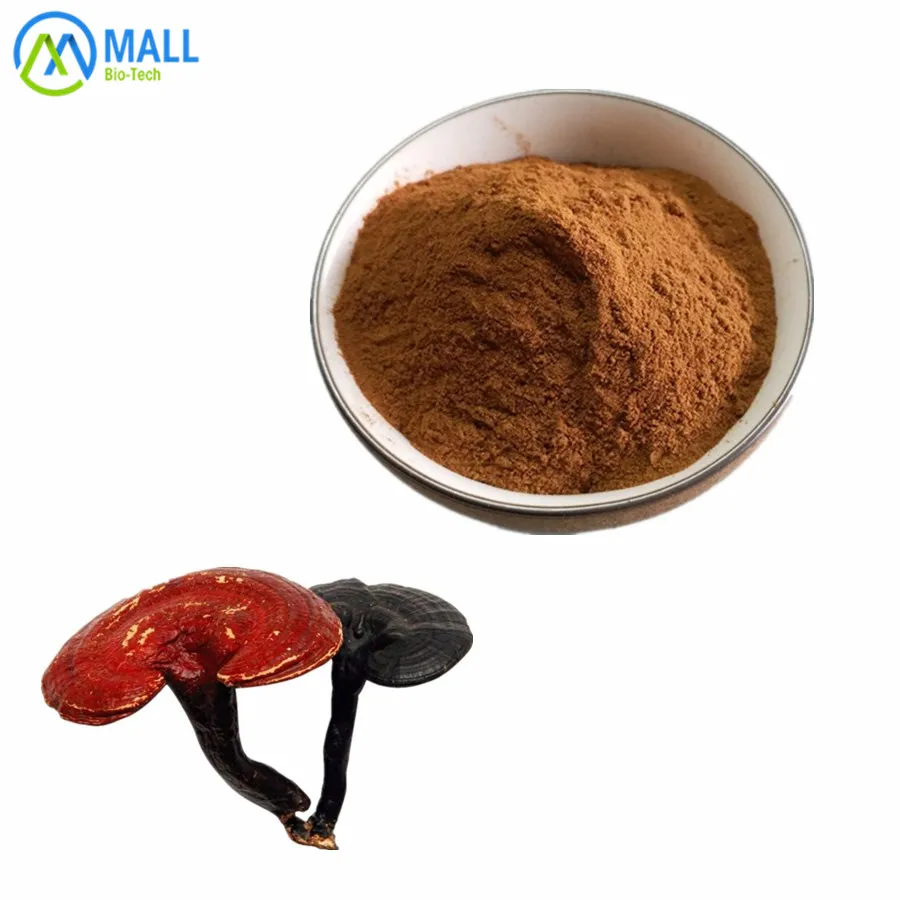 
high quality reishi mushroom extract ganoderma lucidum extract powder 