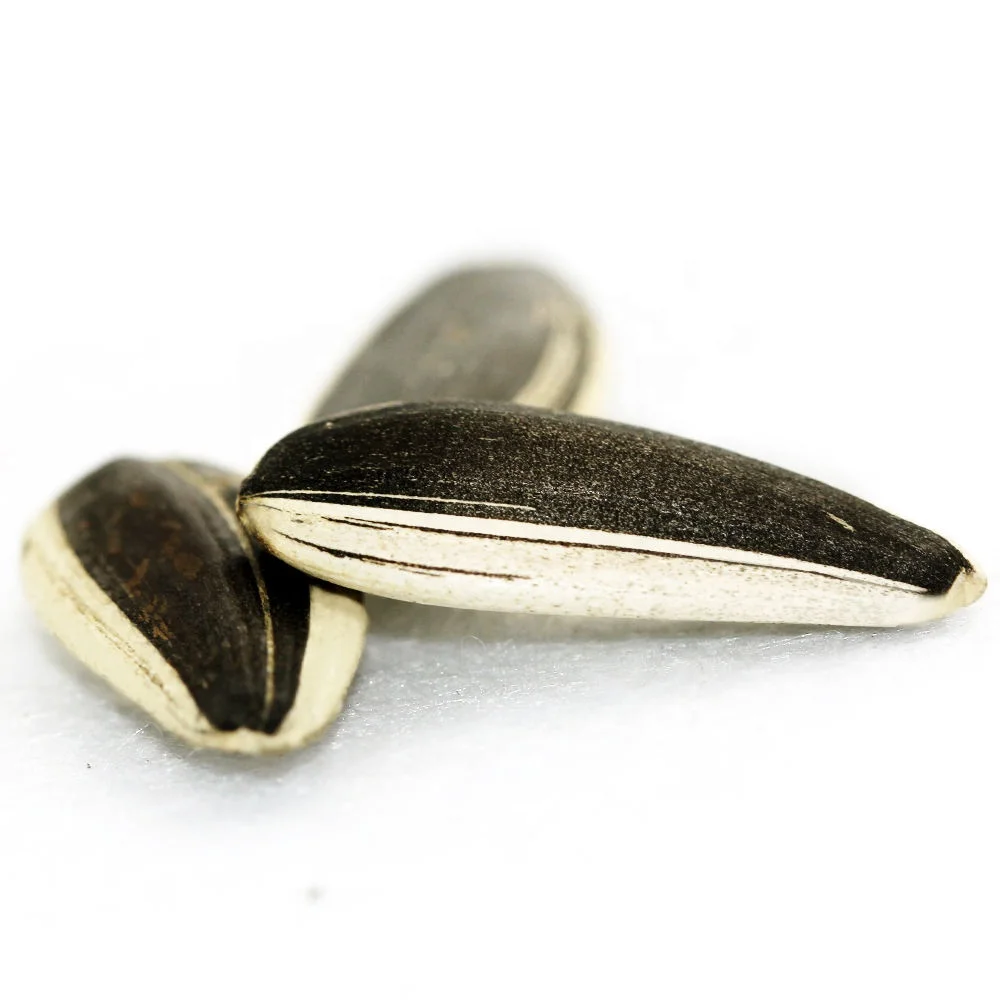 Premium Quality Organic Bulk Large Sunflower Kernels Seeds Wholesale Inner Mongolia 100% Natural 25/50kg Pp Woven Bag Packaging