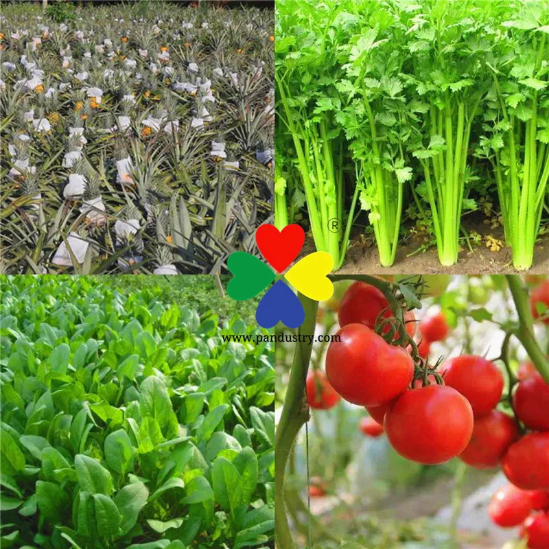 Plant growth regulator fertilizer ga3 gibberellin price