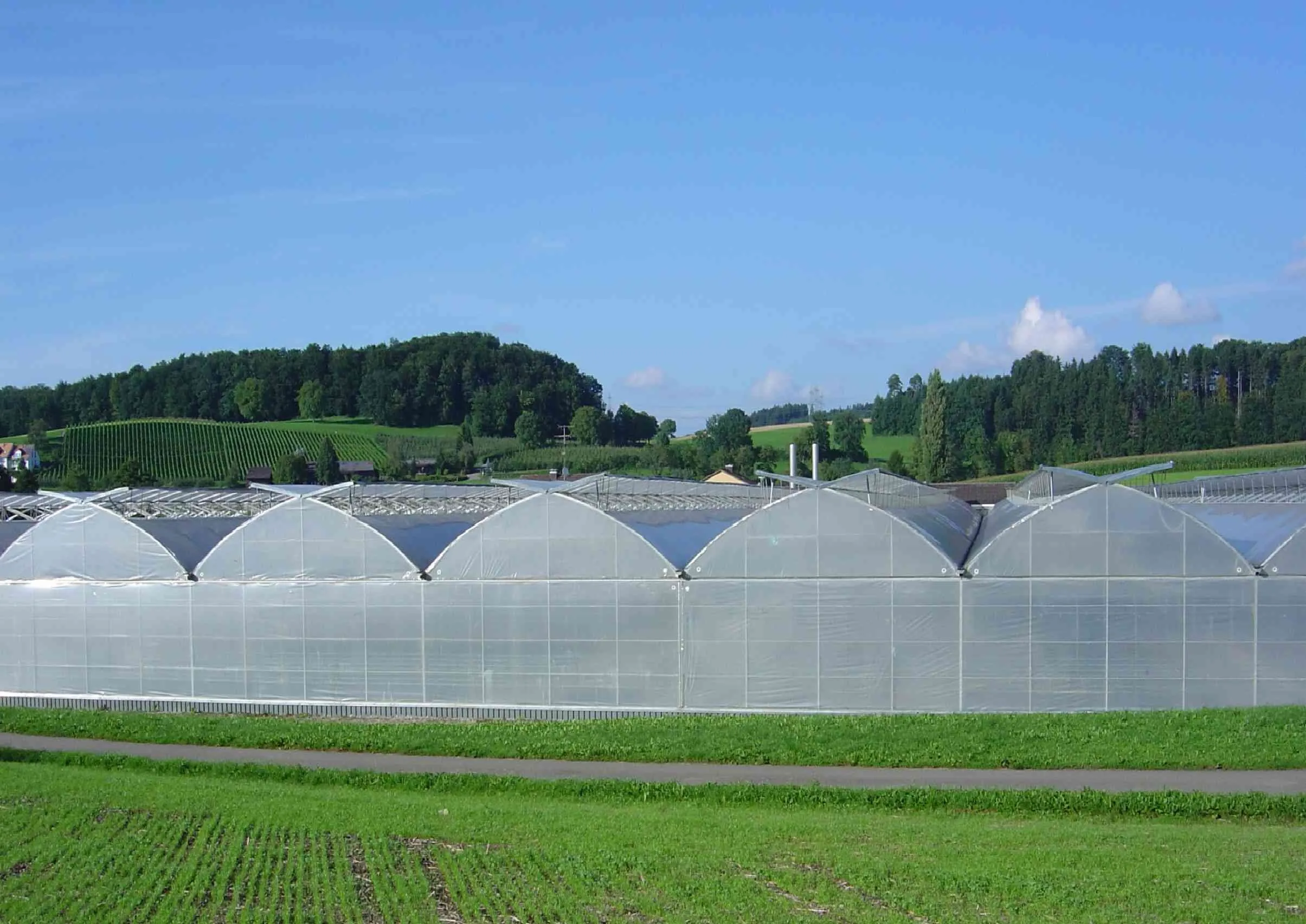 Agricultural Greenhouses And Agriculture Equipment