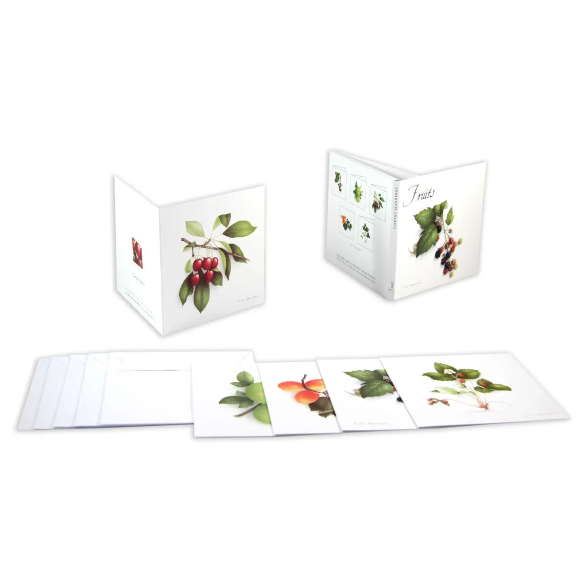 CAJA DE PLASTICO CORRUGADO plastic corrugated box for okra