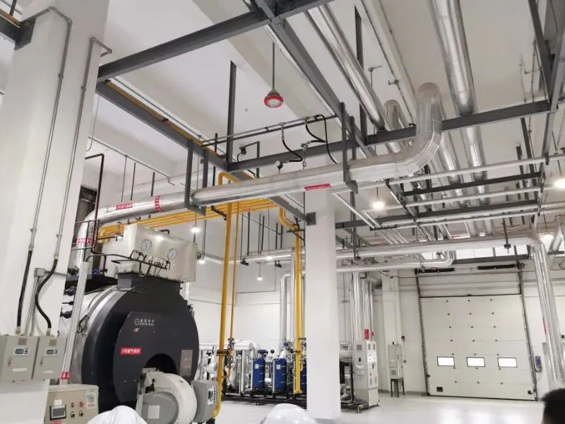 
Economic and reliable capacity 10 ton steam hot water condensing boiler 