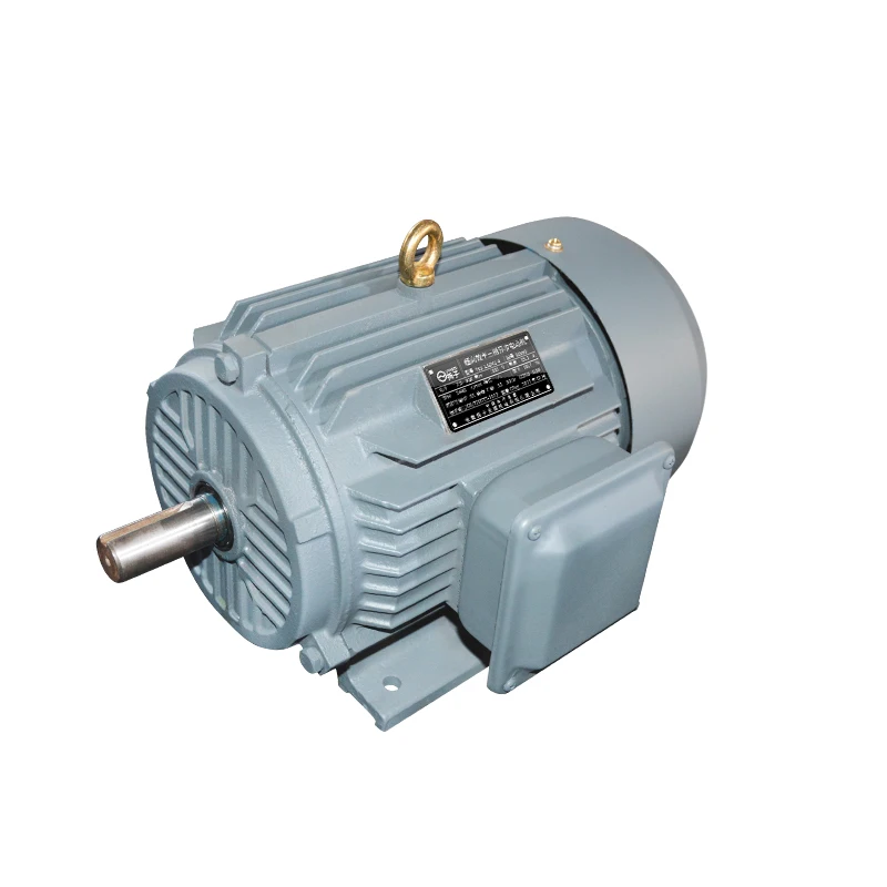 
Phase Asynchronous Electric Motor AC Induction Motor With Aluminum Shell 
