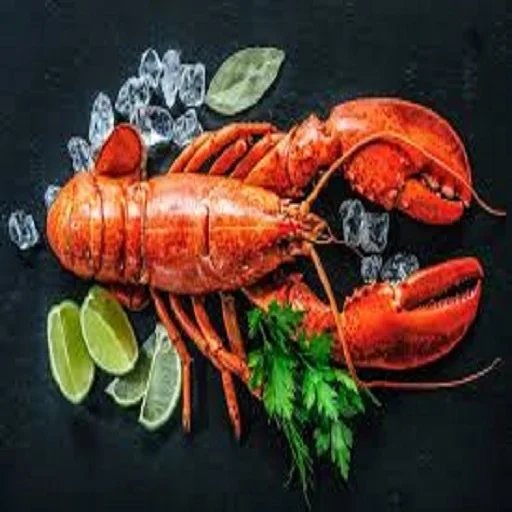 FROZEN LOBSTER / FROZEN LOBSTER TAIL / FRESH LIVE LOBSTER