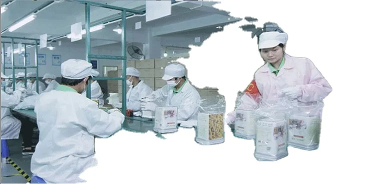 Wheat Straw Plastic Lunch Box Water Bottle Set with Bag Tableware Microwave Food Container With Cutlery For Kids