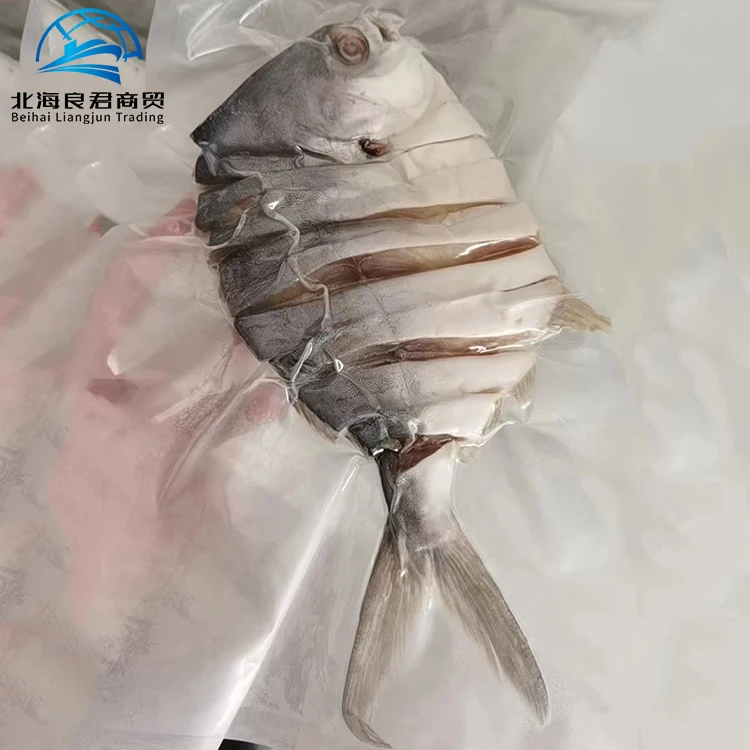 Factory price wholesale Sea Food Fresh Frozen Whole White Dry Pompano Frozen Other Sea Fish Dried Gold Pomfret
