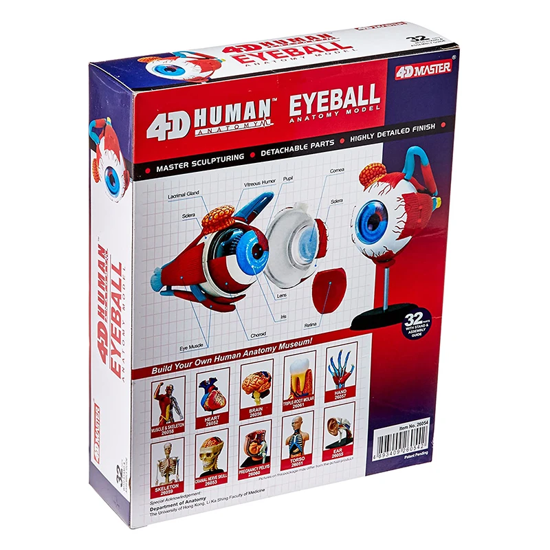 4D MASTER 32 Parts Human Eye Anatomy Model Puzzle Assembling DIY Toys