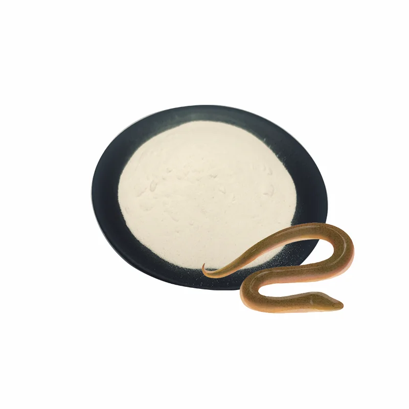 Supply Lumbrukinase powder Earthworm extract Lumbrukinase