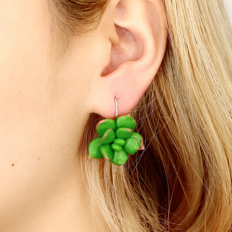 
Wholesale and retail clay earring green succulent real succulent flower earring 