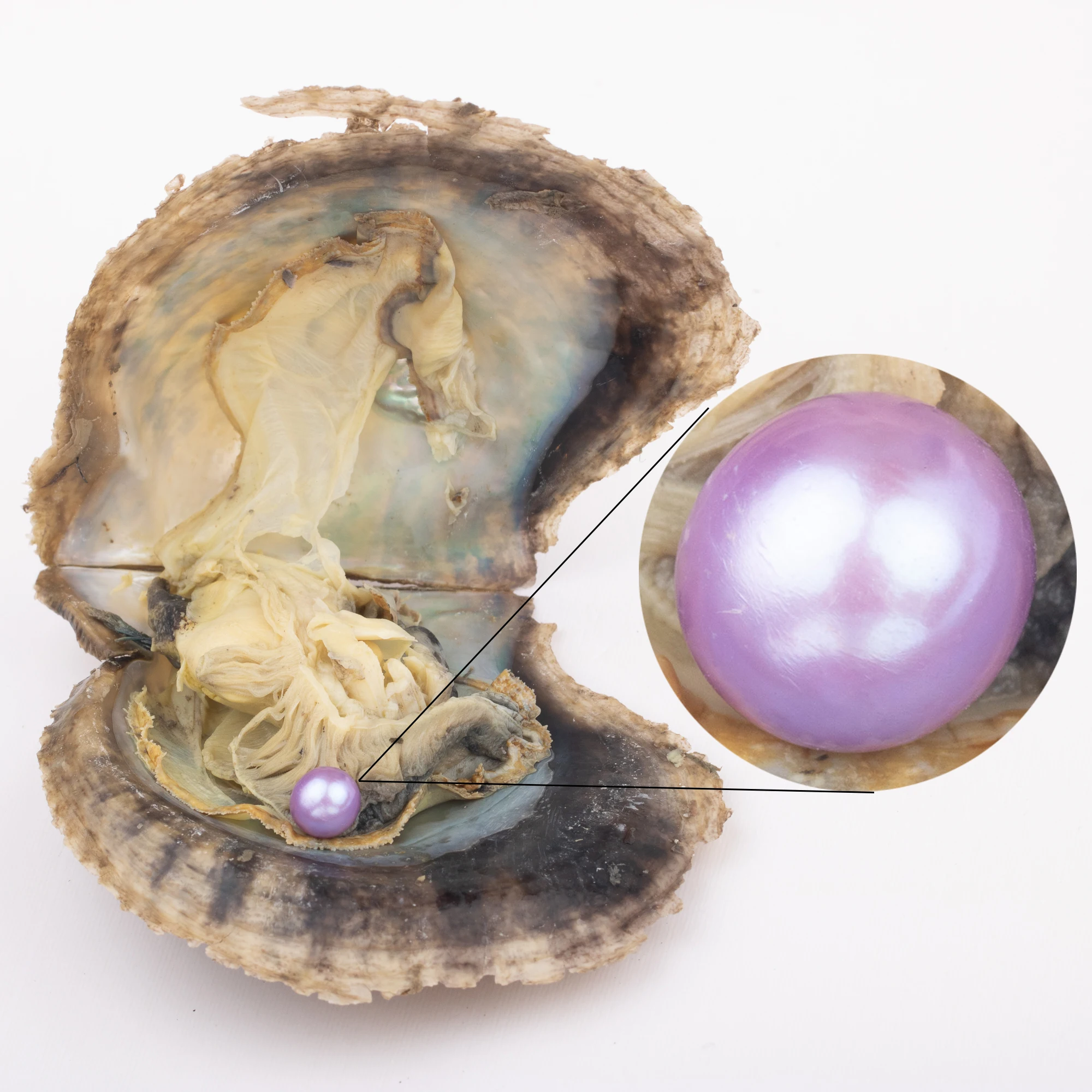 
Love Wish Pearl Party Gift Vacuum-packed 6-7mm 4a quality Loose Saltwater Round Cultured Akoya Oyster 