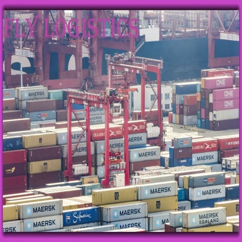
International Cheapest Shipping Rates Freight Forwarding Door Rate To Door Service From China To LAGOS Nigeria France 
