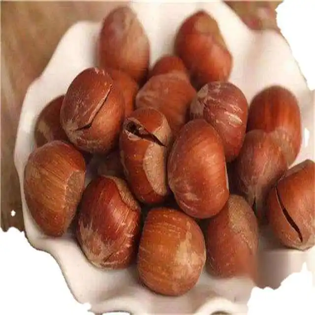 Raw Hazelnut Roasted Hazelnut in Bulk Premium Quality