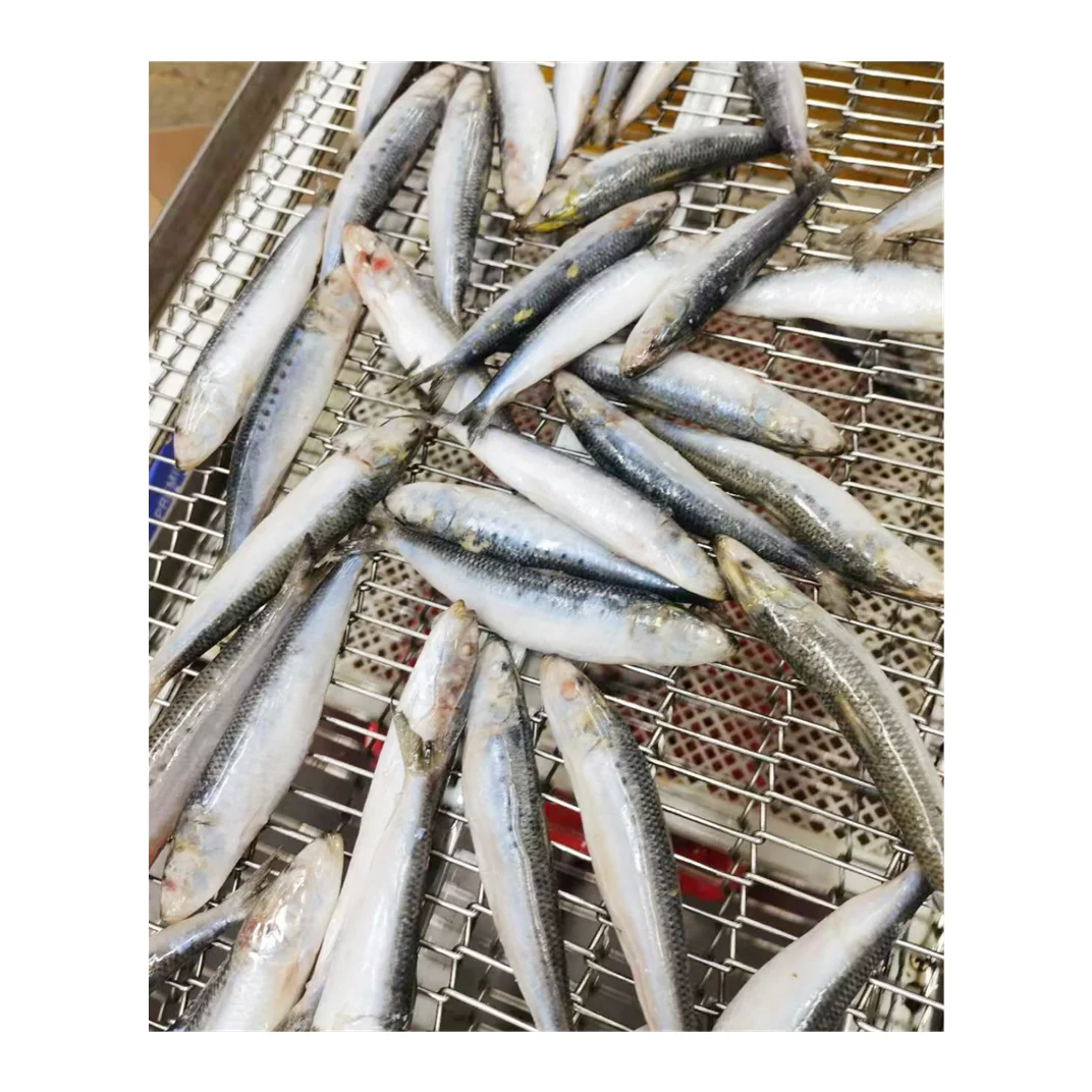 Hot sale IQF sardine  whole round import export wholesale