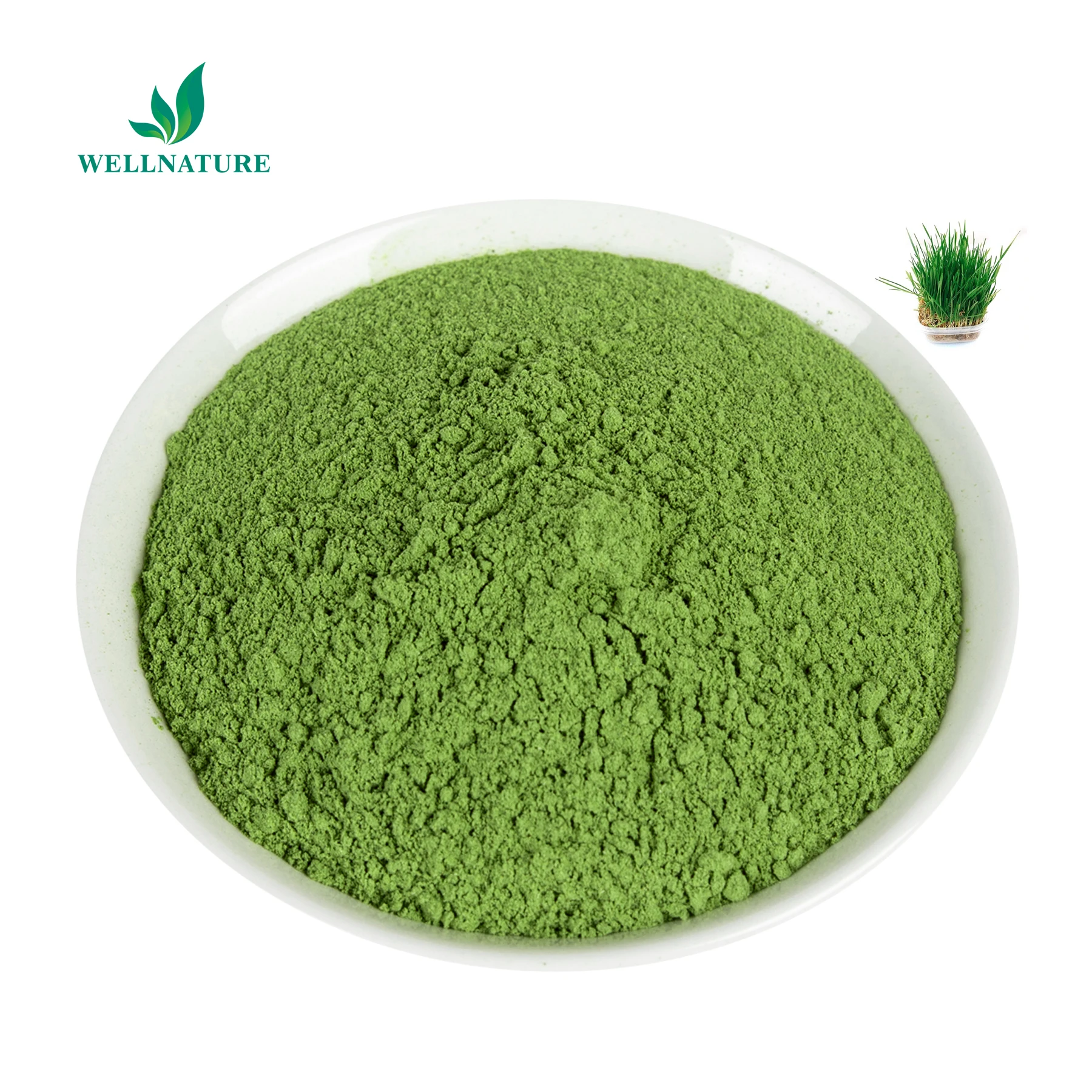 Barley Malt Extract Factory Sale Beer Natural Bulk Powder Malted Black Extract Malt Extract