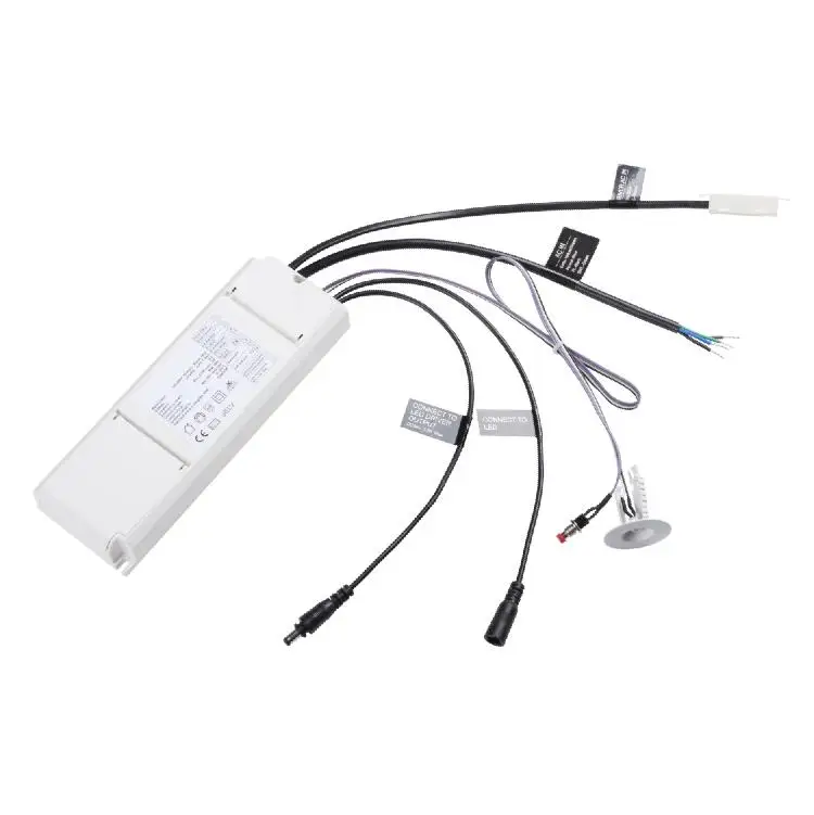 LiFePO4 Panel Light LED Emergency Battery Pack