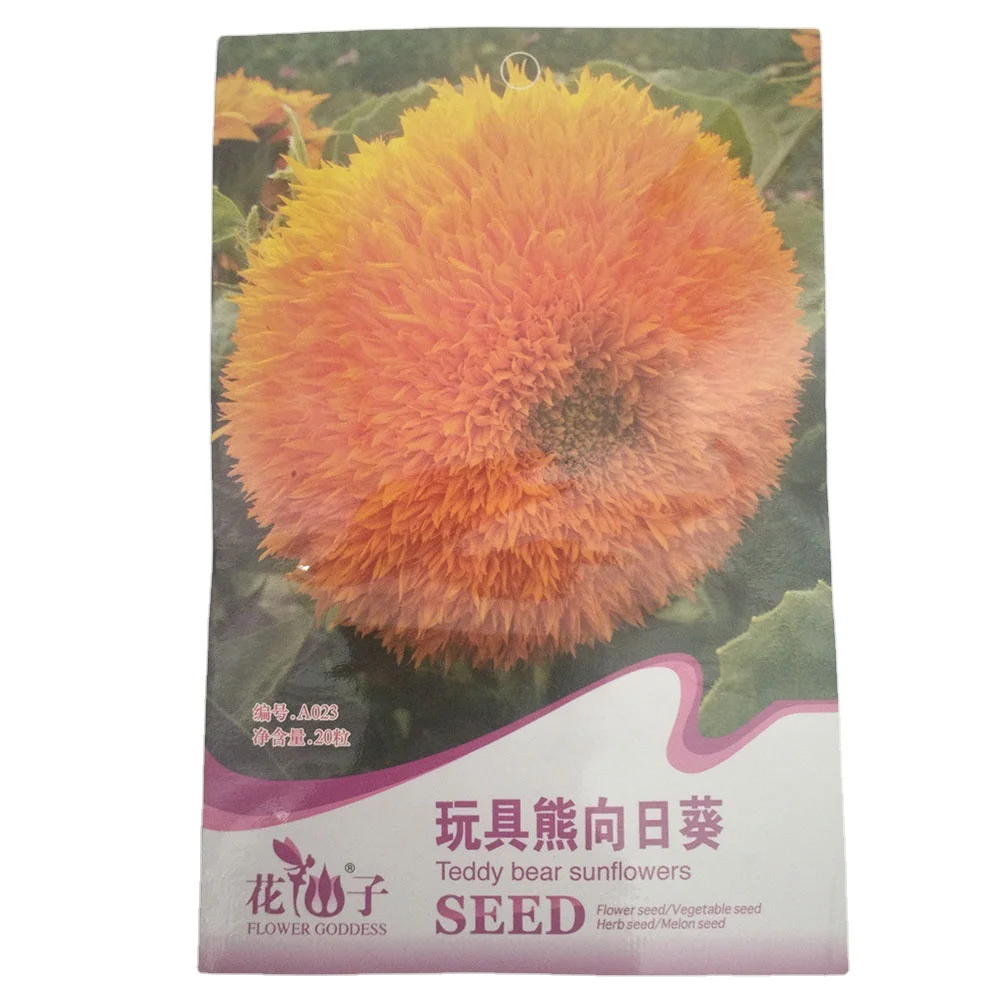 2021 Supply ready to ship big flower sunflower seeds/Helianthus annuus seeds with small flower seeds bags $0.59/bags