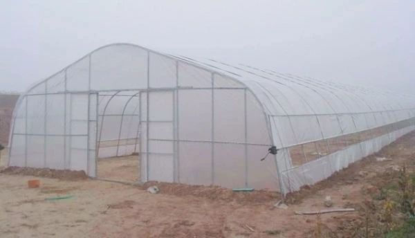 Gothic high tunnel greenhouse container for plants greenhouse farming single span/tunnel greenhouse