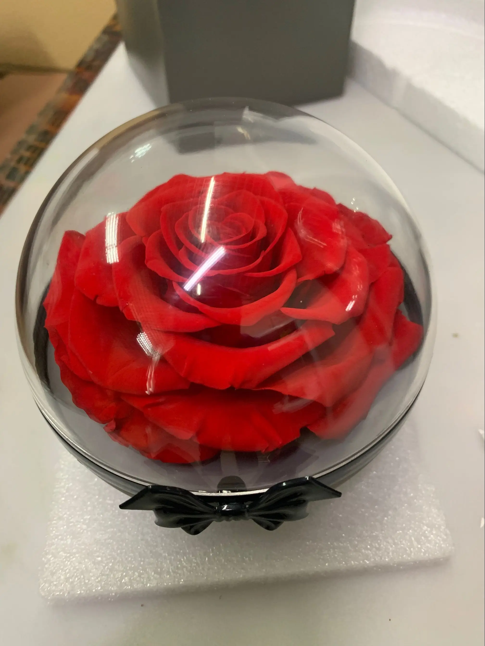 Large preserved flower rose in glass bottle and shell