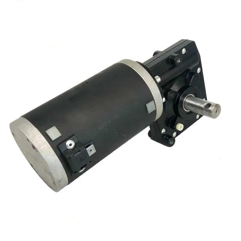 Dc Motor Worm 100Rpm 50Rpm 48V 500W 24V 1/2 Hp Permanet Magnet 12V Dc Gear Motor