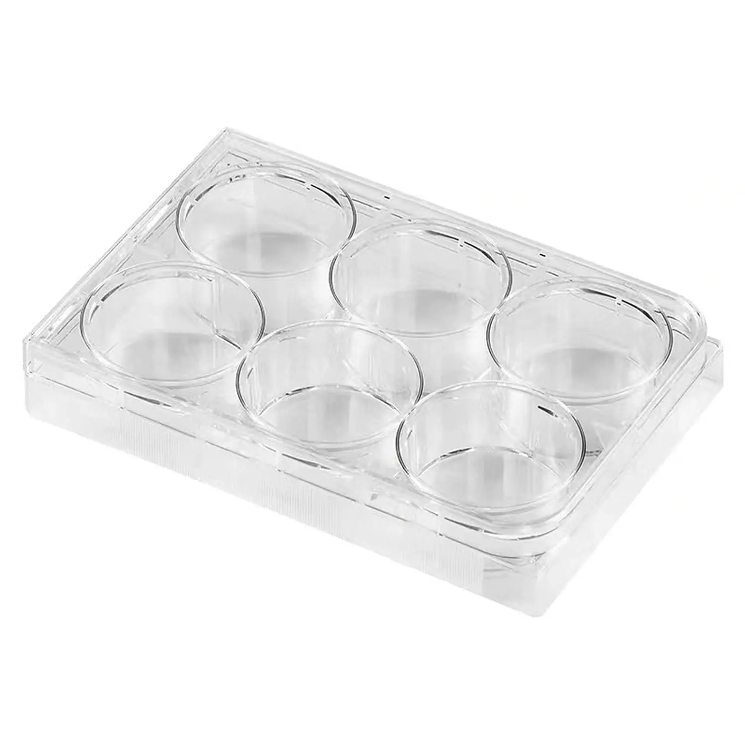 lab tissue culture plate dish in blister pack