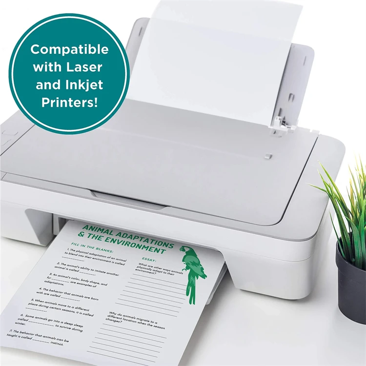 Explosive Models Copier Paper A4 Printer Machine A4 Paper Sustainable Multipurpose Suitable for School Offices