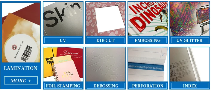 Professional Book Print High Quality Customized Design Softcover Book English Brochure