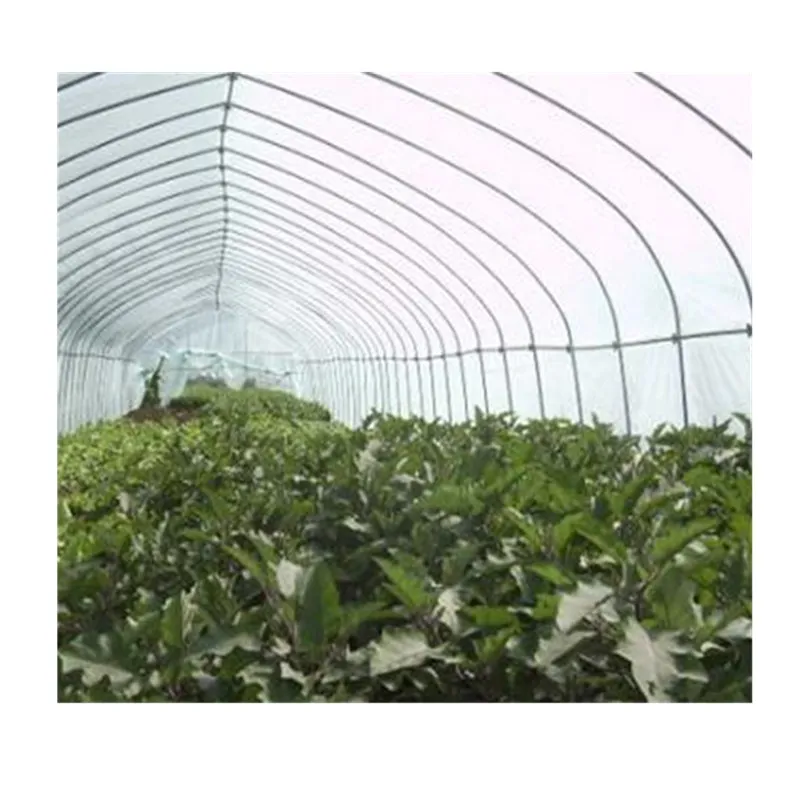 
Commercial single span large plastic film tunnel greenhouse 