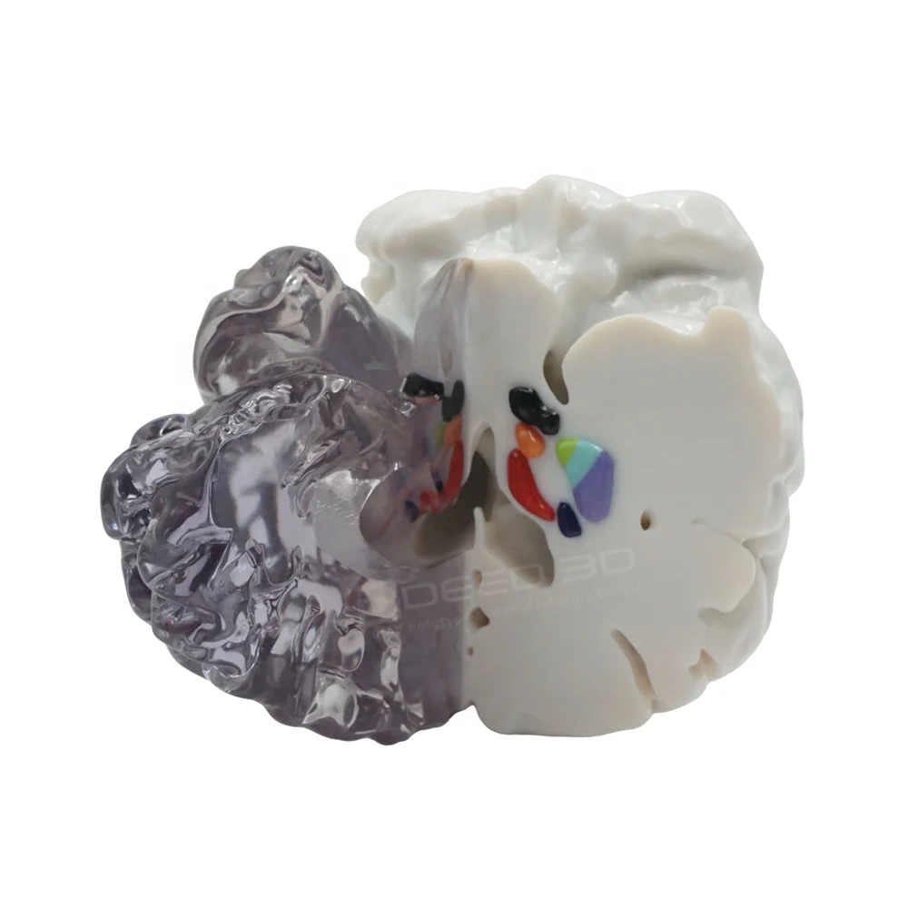 DEED3D factory high precision smooth surface full color transparent resin crafts 3d printing service with small batch production