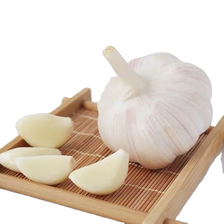 Best quality 5 cm to 5.5 cm bulk normal fresh white garlic in china