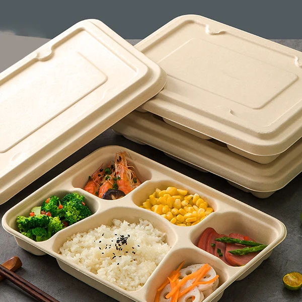 Disposable Plastic Flip-Top Lunch Box Food Containers For Microwave Heating Disposable Eco-Friendly Lunch Box