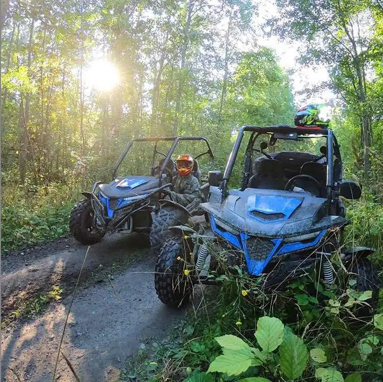 China Hot sales Pedal off road gas powered 2 seat popular cheap go kart buggy