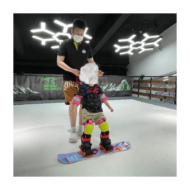 Indoor ski simulators ski machine Gyme Machine