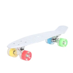 New Design Customized 22 inch Mini Fish Plastic Cruiser Skateboard with LED Light Wheels