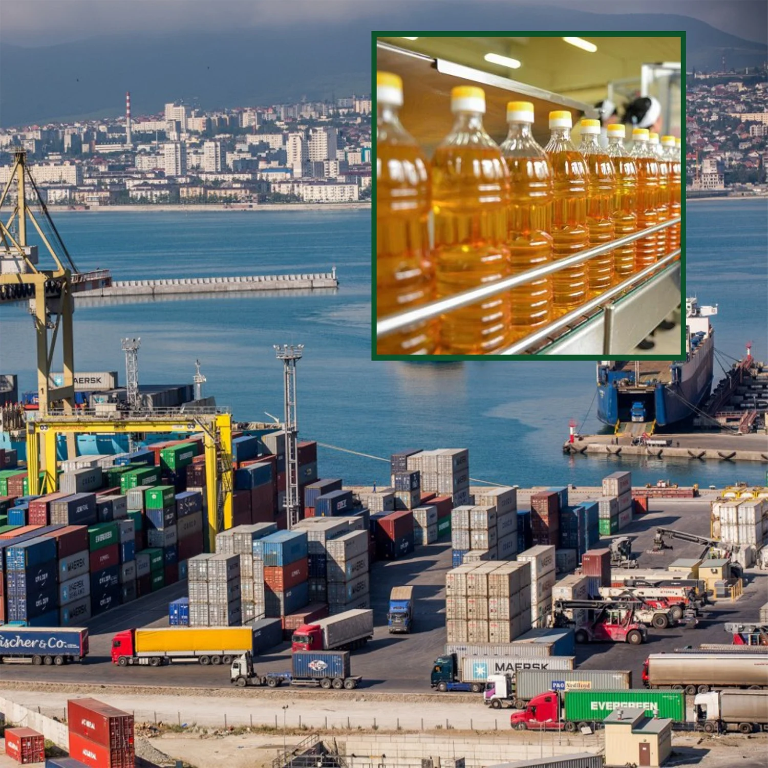 
Great quality bottled sunflower oil 1/3/5 liter bottles, product of Russia 