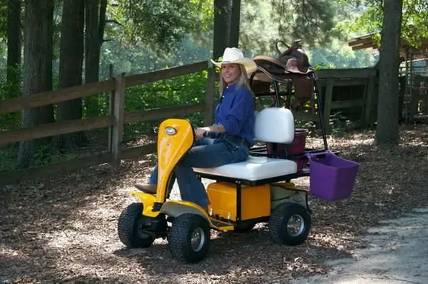 24V low speed single seat or  two seat  electric golf scooter with sun roof