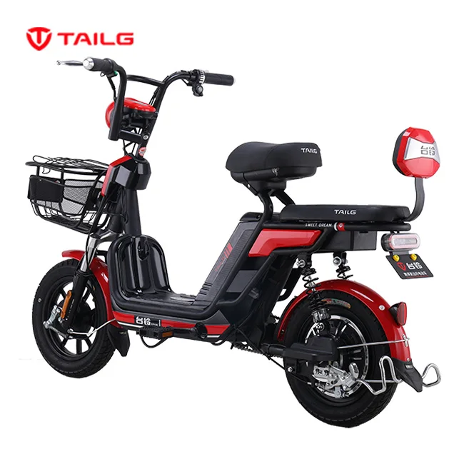TAILG Simple and economical manned electric bicycle qicycle