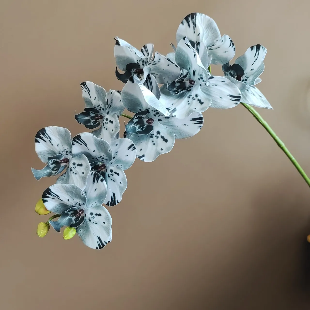 Real Touch Phalaenopsis Flowers   Ultra Realistic Fuchsia Artificial Orchids for DIY Centerpieces, Home  Event