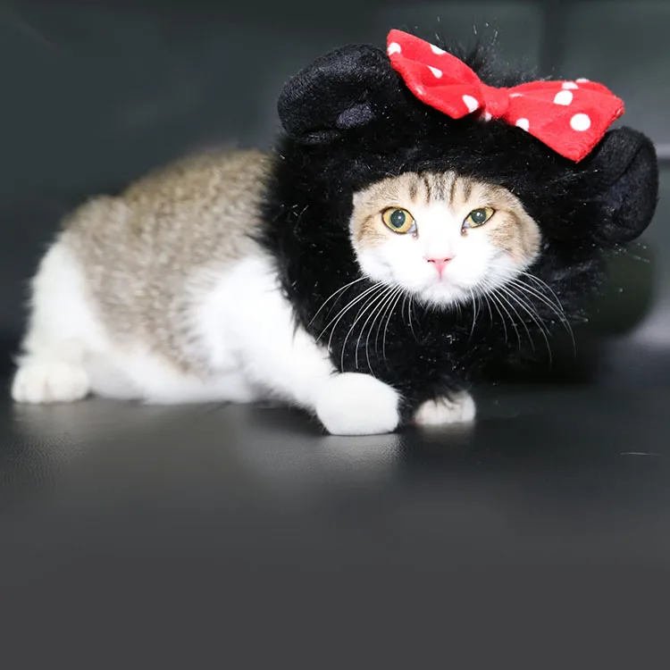 4 style available Costume pet hat hair funny cat dog lion mane costume pet wig