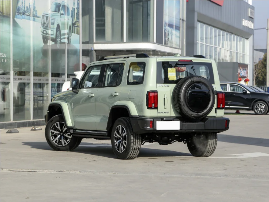 Новые автомобили Большой Настенный бак 300 2 0 т бензиновый внедорожник Космический Багги спортивный автомобиль