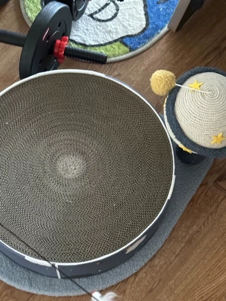 Made in China elegant shape pretty colors Play Planet Cat Scratching Board