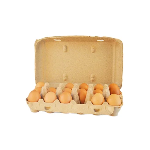 White Wholesale 15 Cells Paper Egg Carton Box plastic free pulp egg carton tray supermarket transparent
