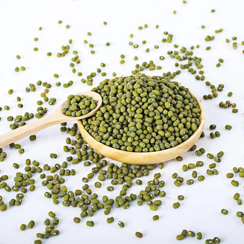 
Green Mung Moong Bean Sprouts 3.2-3.8mm Vigna Beans with Best Price 