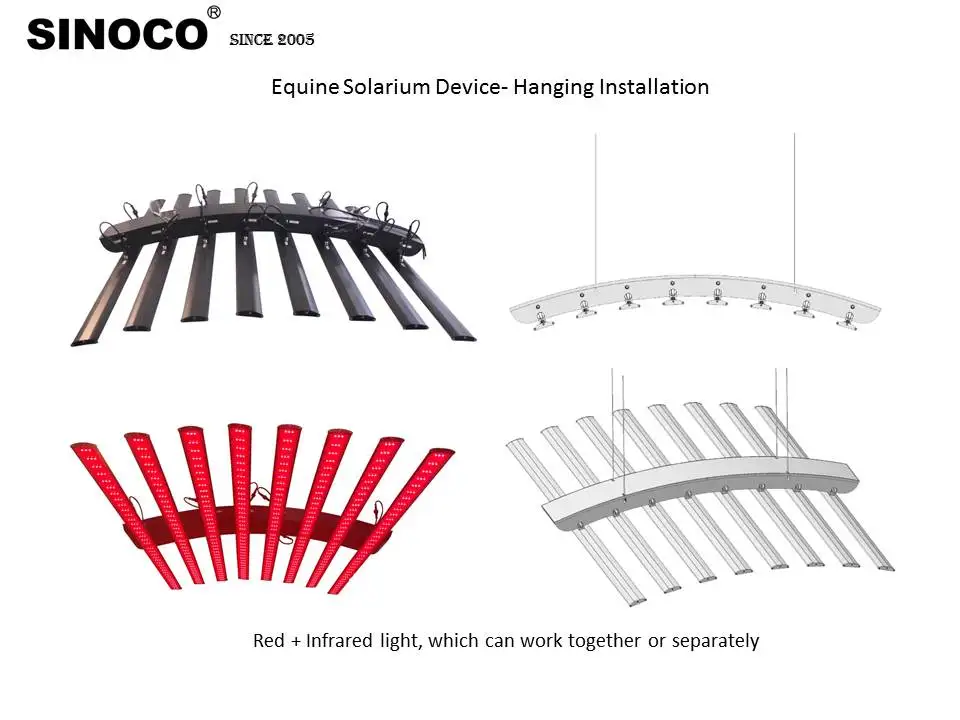 Classic Horse Stall Red Light Therapy Solarium for Large Animals Pet-friendly Equine Solarium