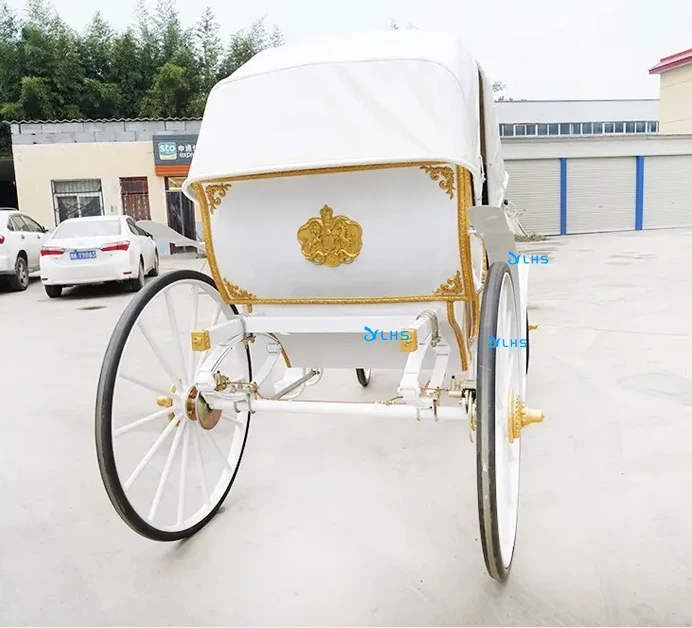 Special transportation for sightseeing electric tourist horse buggy carriage royal horse carriage manufacturer